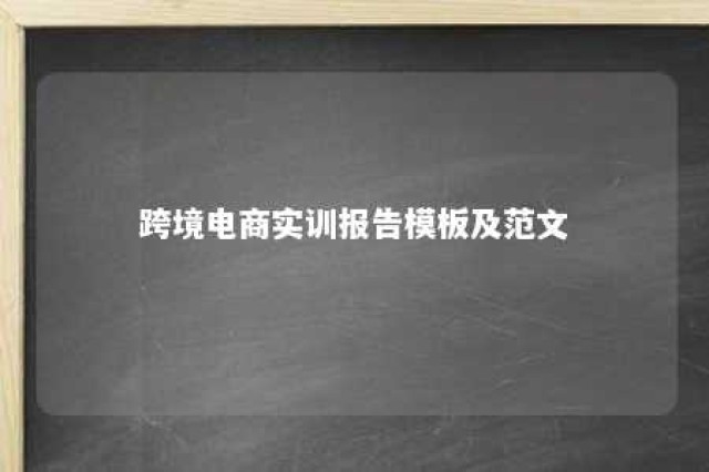 跨境电商实训报告模板及范文 跨境电商实训报告模板及范文