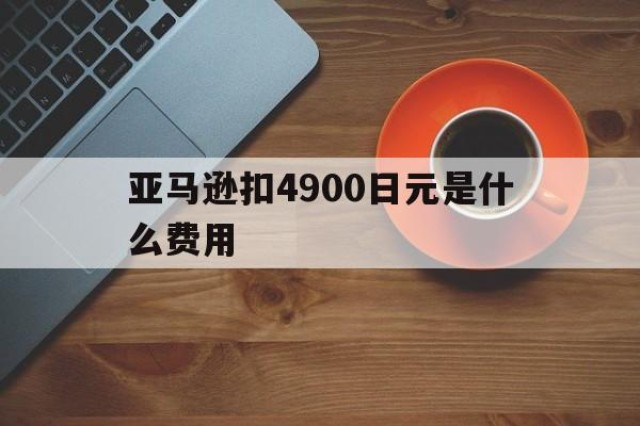 亚马逊扣4900日元是什么费用